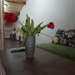 алекс
