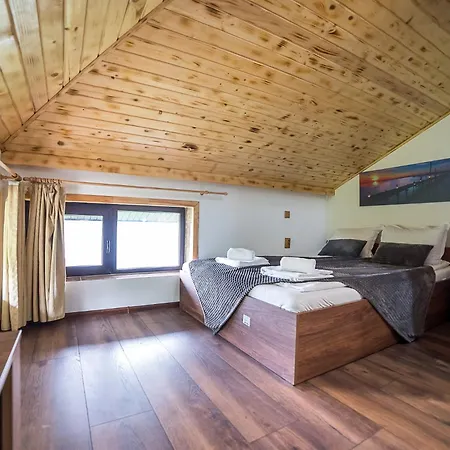 алекс 卡尔洛沃