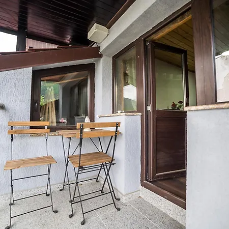 алекс 3* 卡尔洛沃