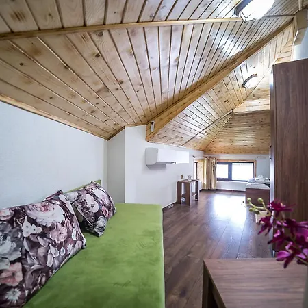 алекс 3* Карлово